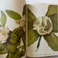 Wild Flowers of America (used)