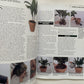 Houseplants (used)