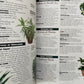 Houseplants (used)