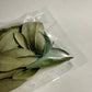 5 g Dried Red Bay Leaves (Persea borbonia)