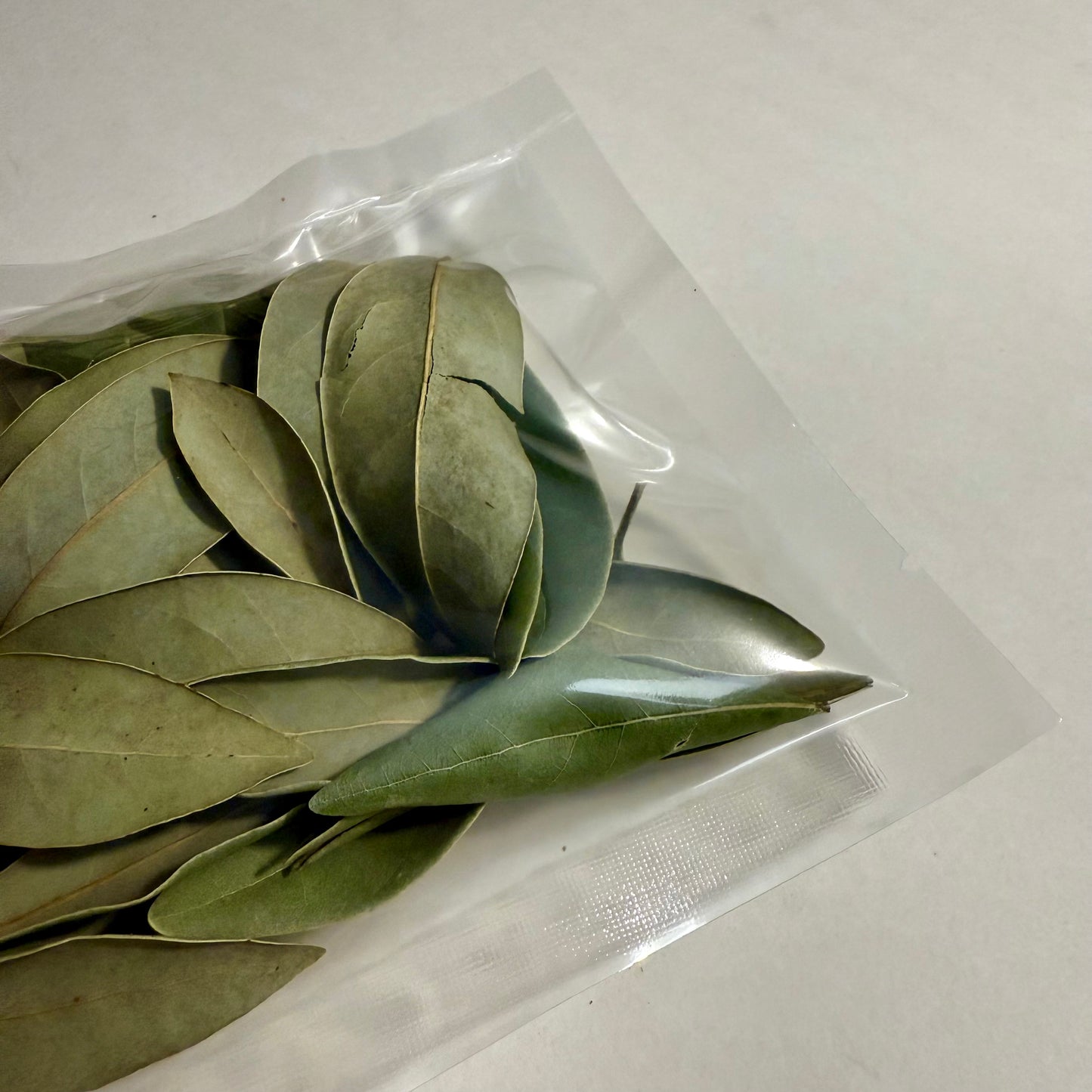 5 g Dried Red Bay Leaves (Persea borbonia)
