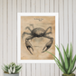 The Braden Town Beast Framed Poster, Florida Cryptid Art, Coastal Folklore Wall Art