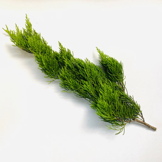 Fresh Cut Cedar Branches