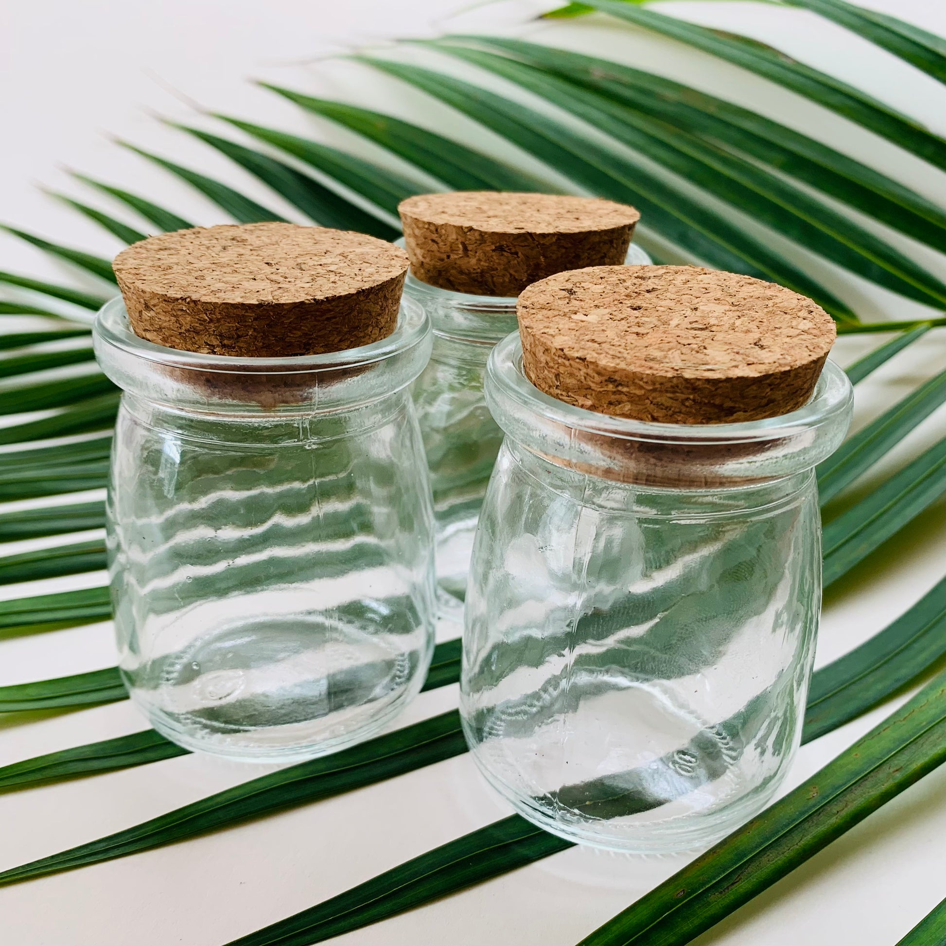 Mini Glass Jars with Cork Lids – Wild Island Trading Co