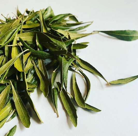 Bayberry Leaves, Dried
