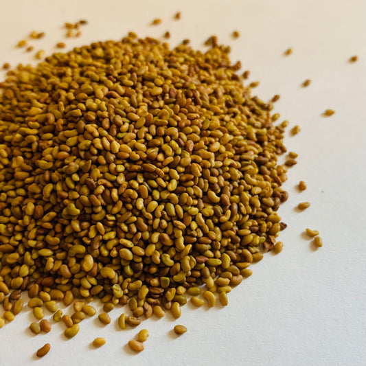 Alfalfa Seeds, Organic