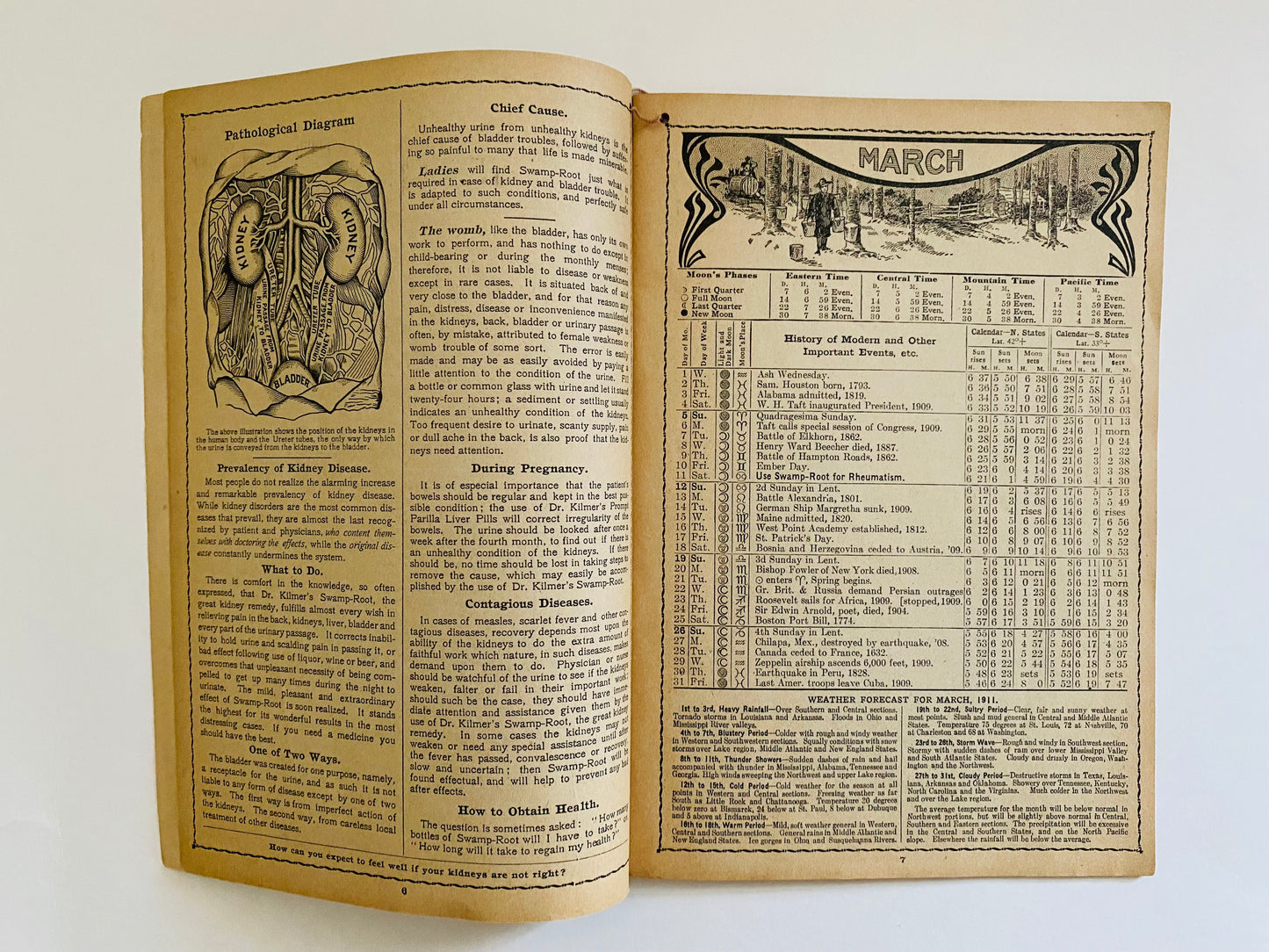 Swamp Root Almanac 1911