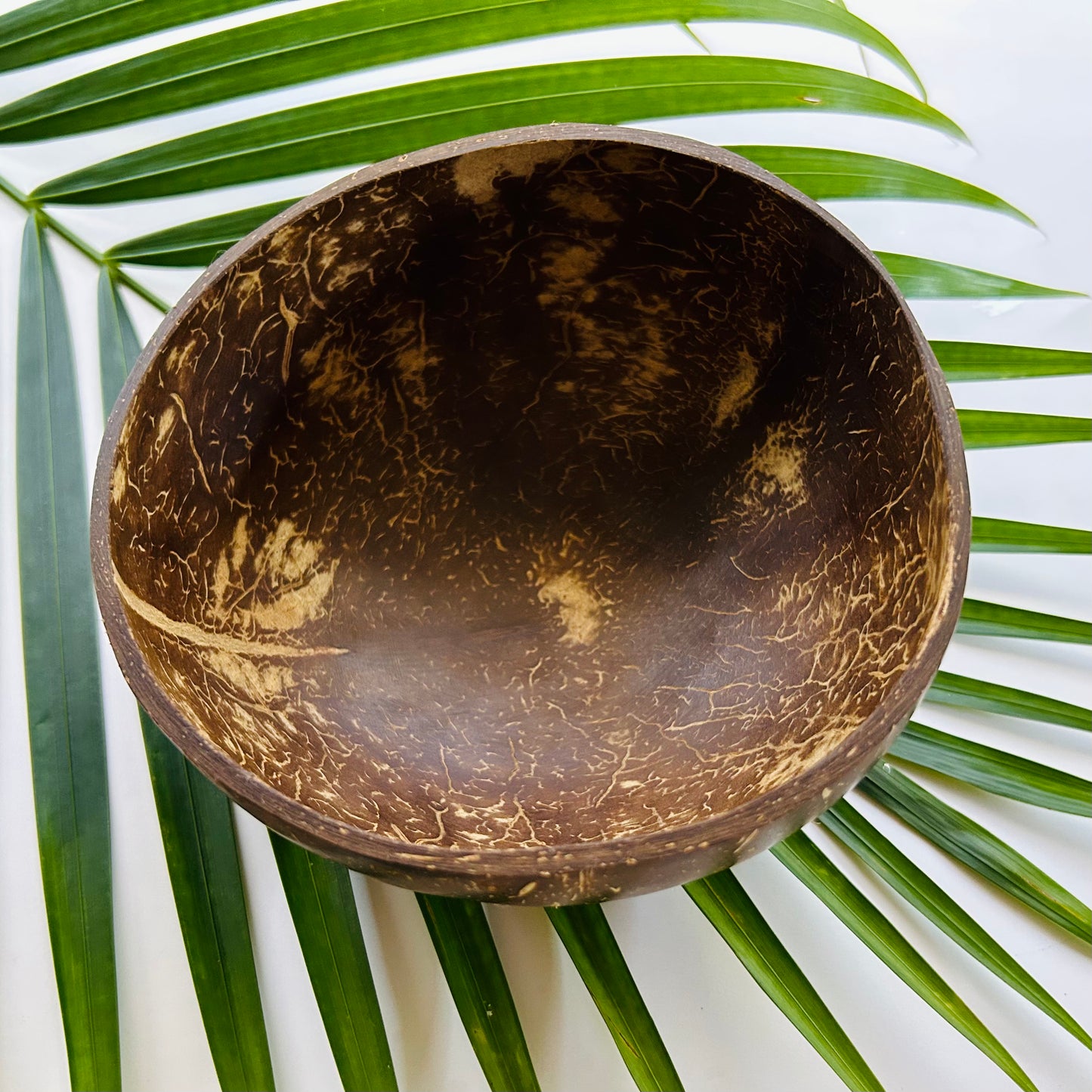 Coconut Bowl, Polished