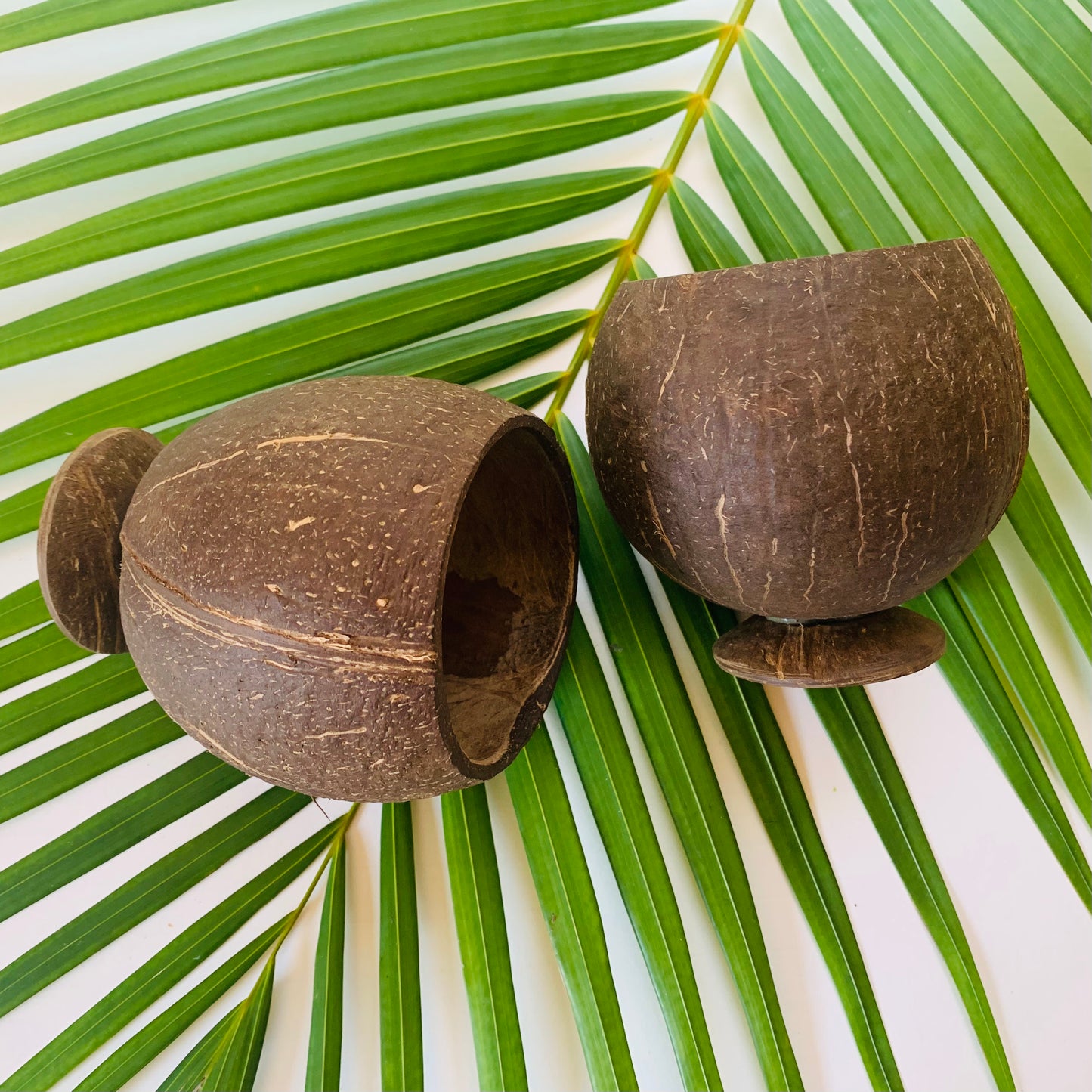 Coconut Cups, Authentic