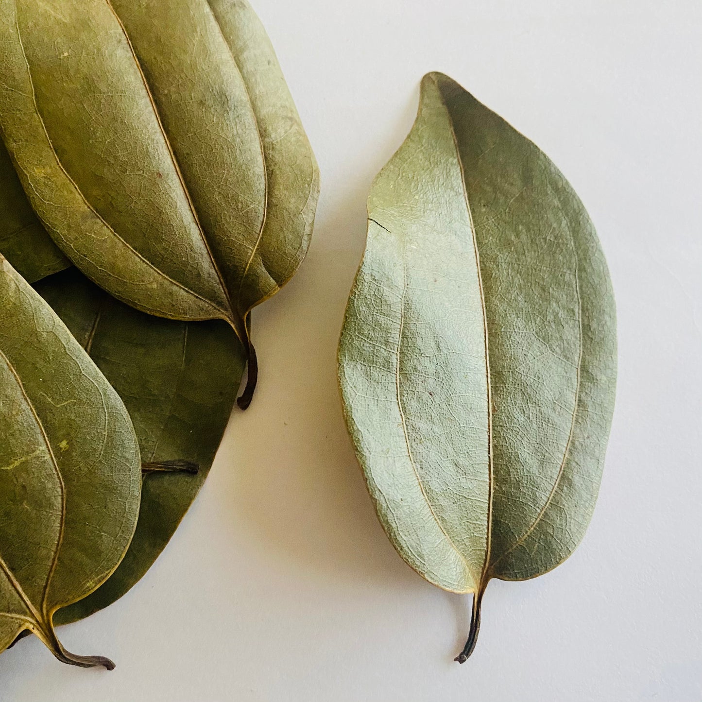 Cinnamon Leaves, Organic, Grown in Jamaica